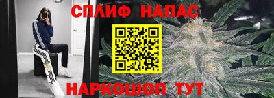 a pvp Краснознаменск