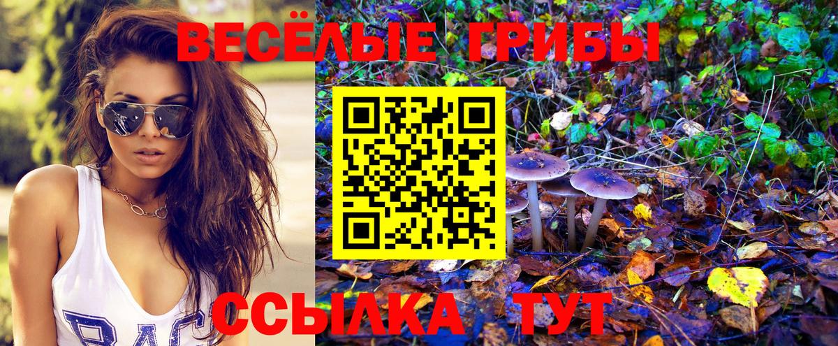 Псилоцибиновые грибы GOLDEN TEACHER Канаш